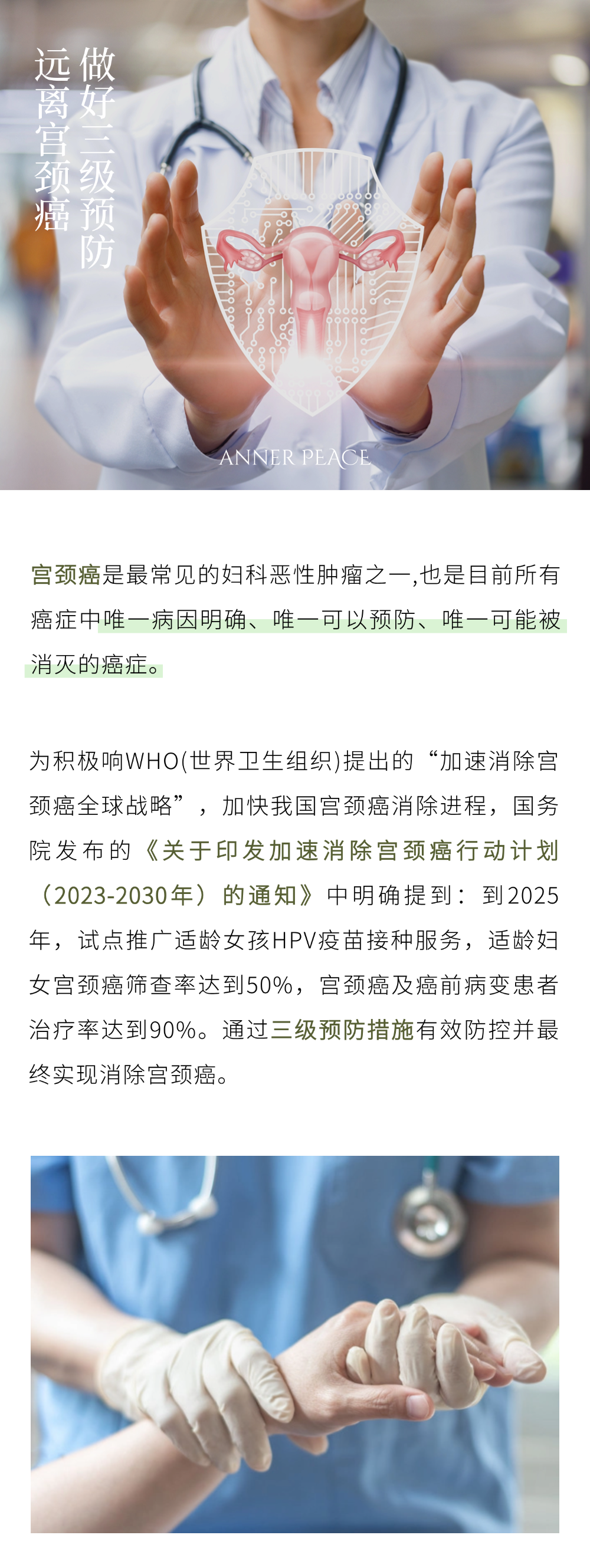 ece04d478790c9c7d42b2a3519e47886.png