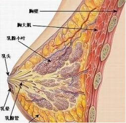 春雨医生