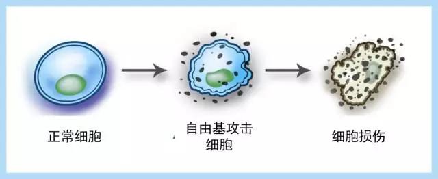 ����ҽ��