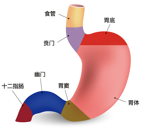 春雨医生