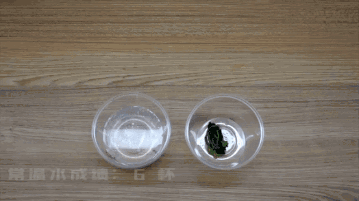 春雨医生