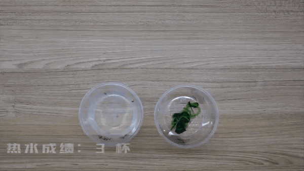 春雨医生