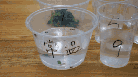 春雨医生