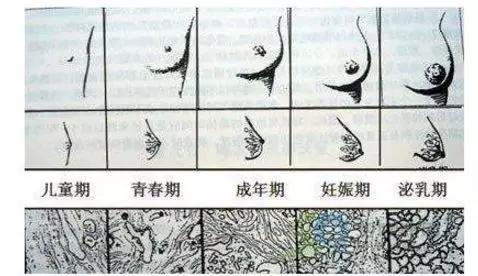 春雨医生