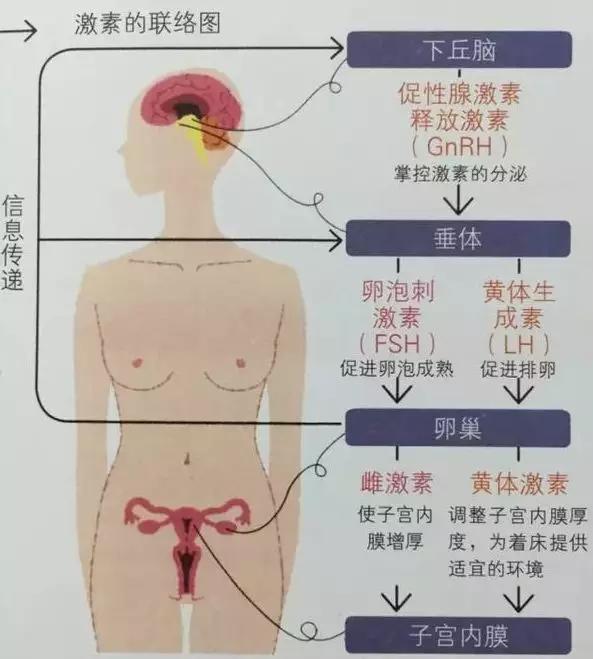 春雨医生