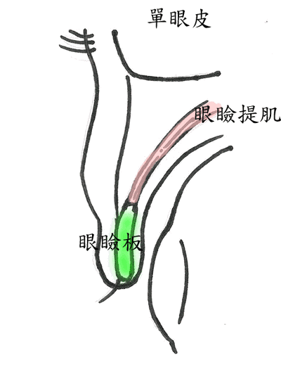 春雨医生