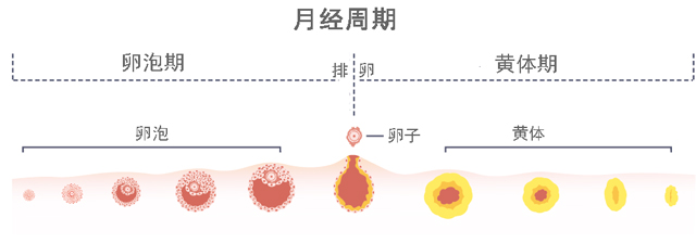 春雨医生
