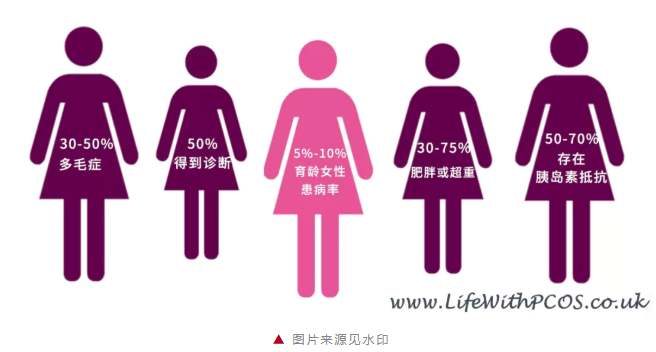 春雨医生 春雨医生