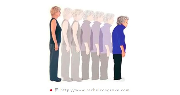 春雨医生 春雨医生