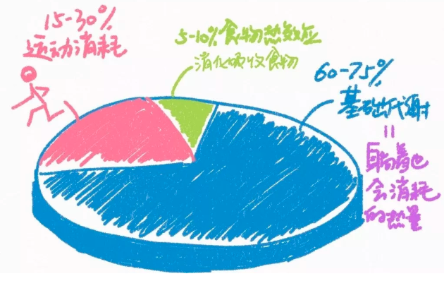 春雨医生 春雨医生