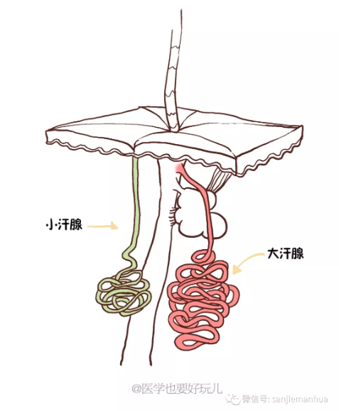 春雨醫(yī)生