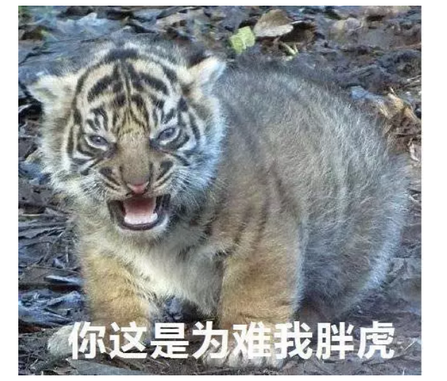 都说化妆品含激素不好,为啥还有很多皮肤药里有激素呢?