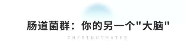 春雨医生
