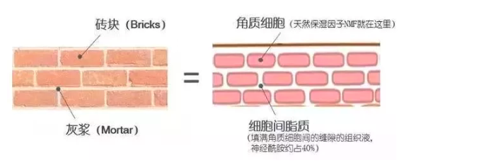 春雨医生