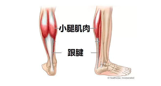 春雨医生