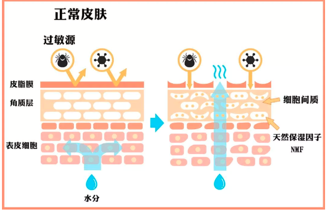 春雨医生