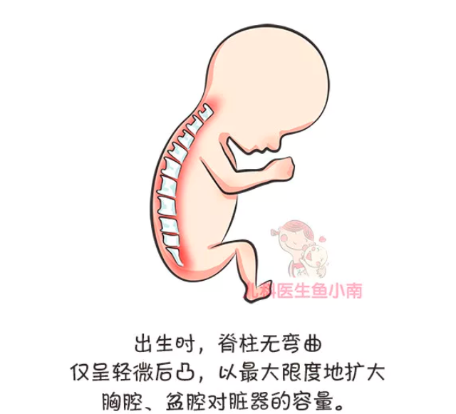 春雨医生