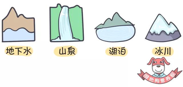 春雨醫(yī)生