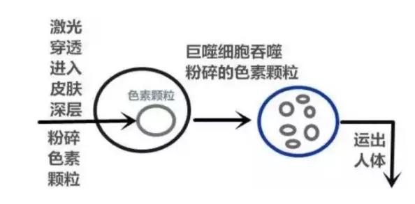春雨医生