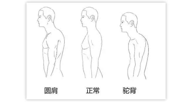 春雨医生