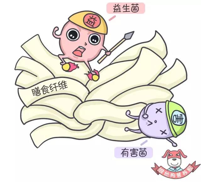 春雨医生