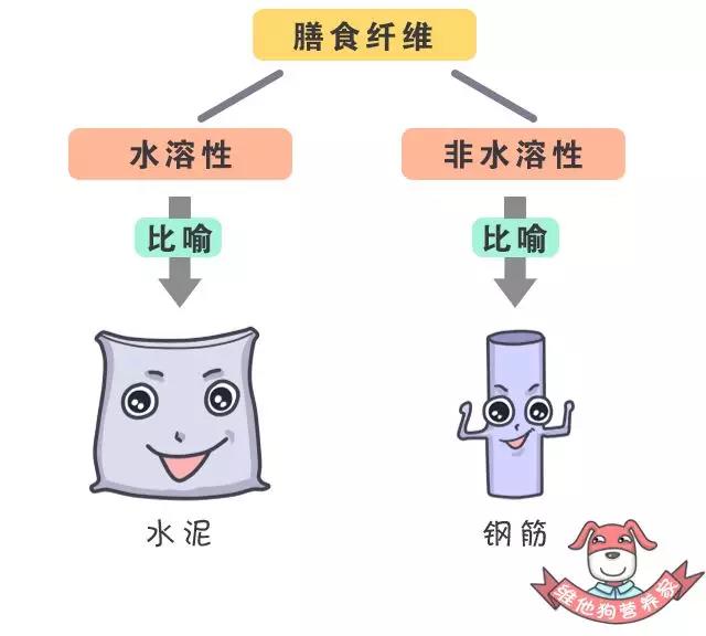 春雨医生