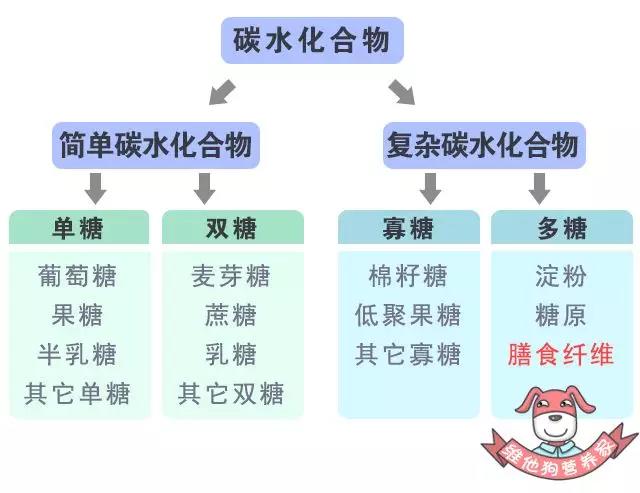 春雨医生