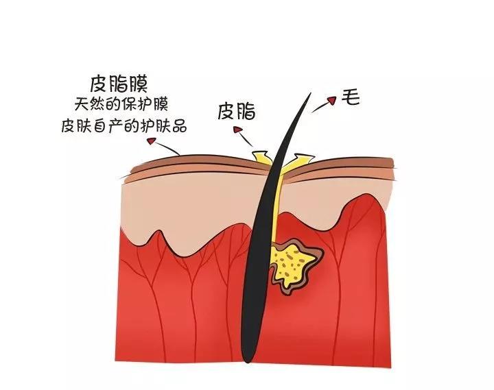 春雨医生