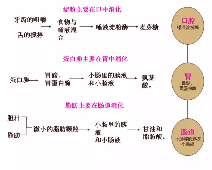 春雨医生