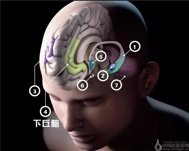 春雨医生