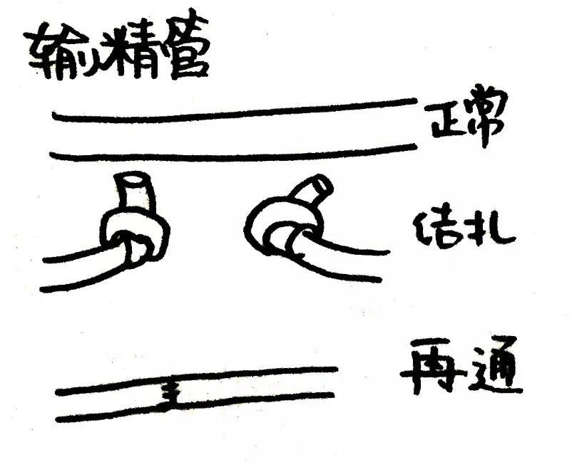 春雨医生