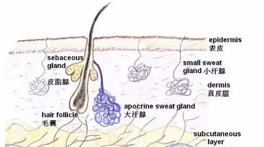 春雨医生