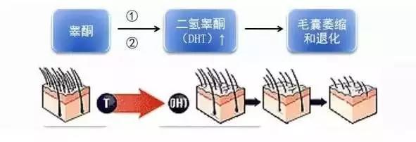 春雨医生