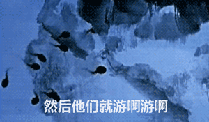 LxAN2O35o7GyJHWB4eA8hFcl7Sbsly3H.gif
