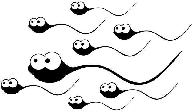 图虫创意-262451063394926799.jpg