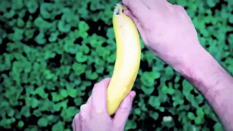 song.gif