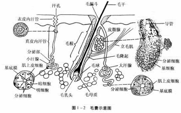 春雨医生