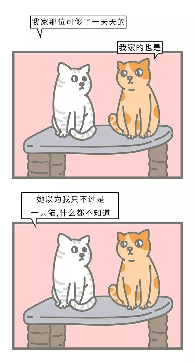 春雨医生