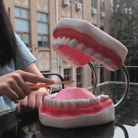 5.gif