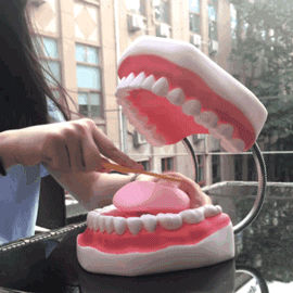 2.gif