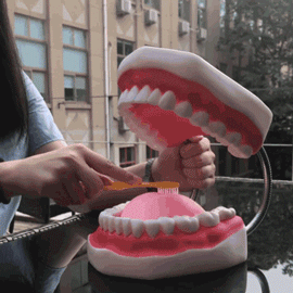 4.gif