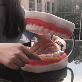 3.gif