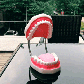 1.gif