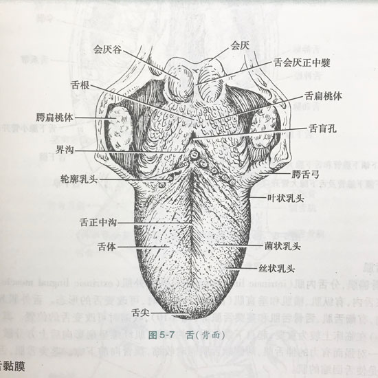 90716205605.jpg