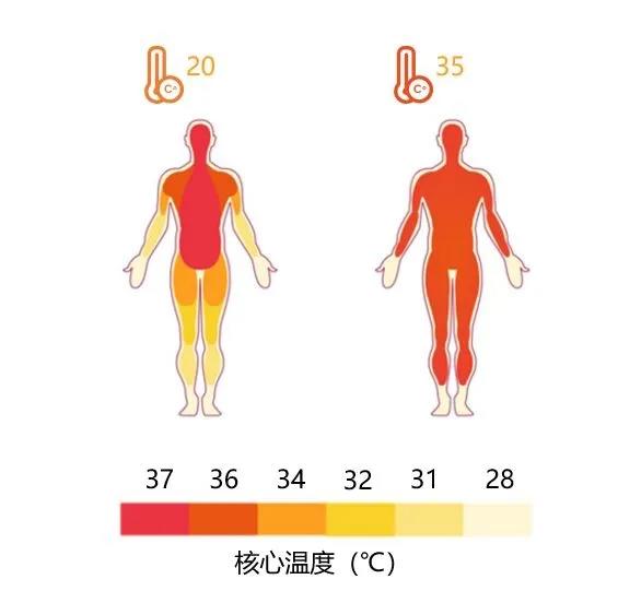 春雨医生