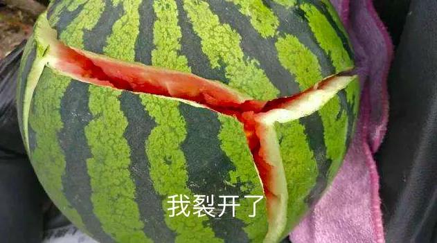 春雨医生 春雨医生