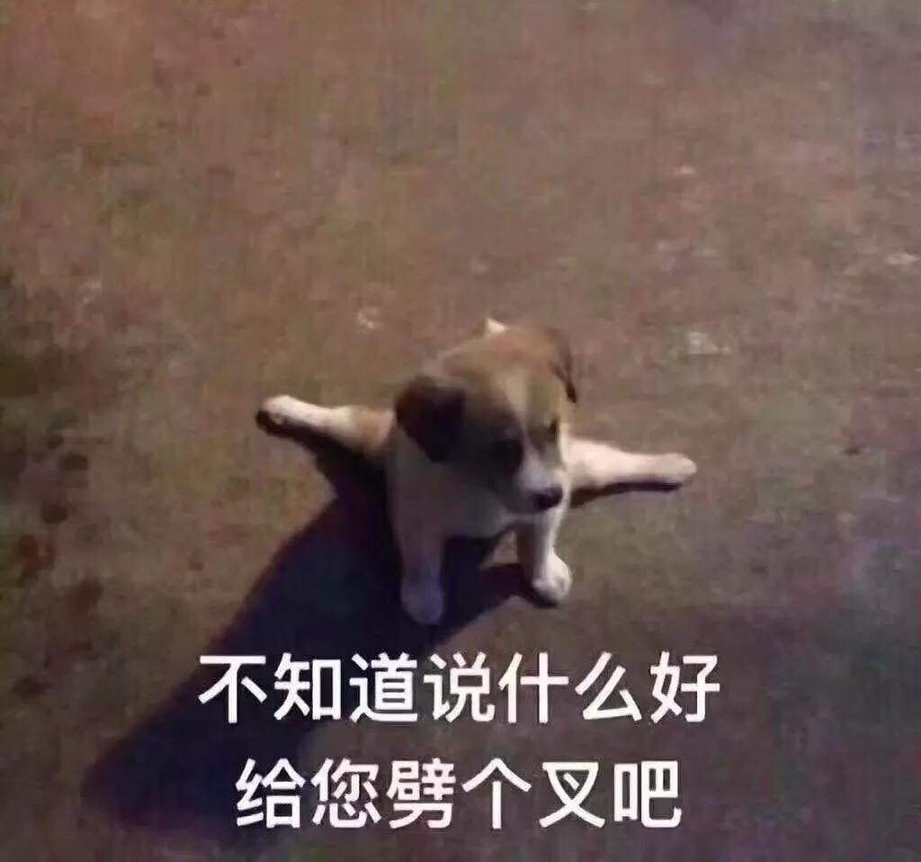 春雨医生 春雨医生