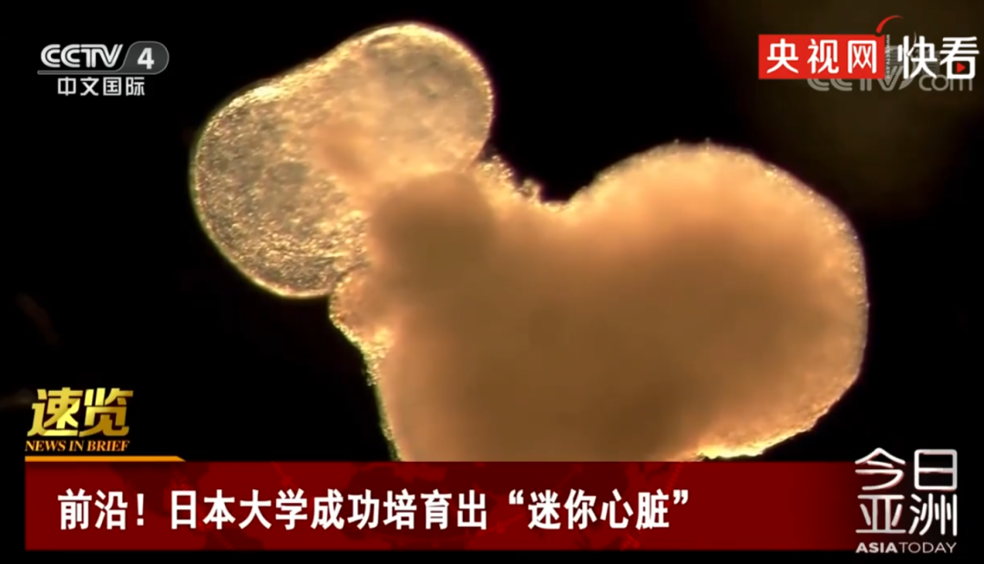 春雨医生 春雨医生