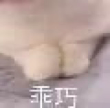 春雨医生 春雨医生