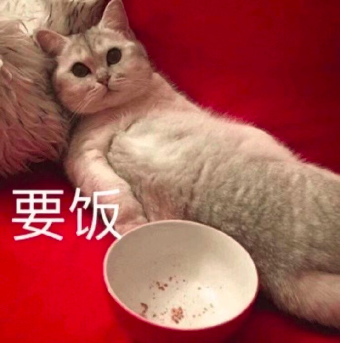 春雨医生 春雨医生